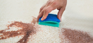 Stain On Carpet Cleaning