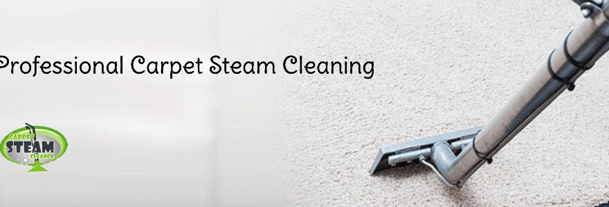 Carpet cleaning Montmorency